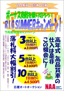 ＮＡＡ「ＢＩＧ ＳＵＭＭＥＲキャンペーン」