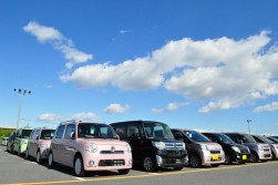 １２月１８日には年内最終のセリとなる「大納会」を開催