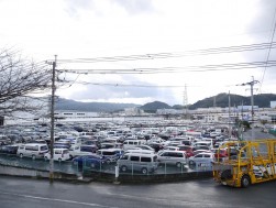 会場前の出品ヤードにはぎっしりと出品車が入った