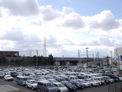 出品ヤードには良質車が多数揃った