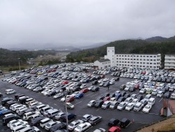 ヤードには今期最多出品台数が並んだ
