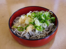 手打ちの出雲そばには大根おろしと青ネギを添えて