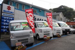 車体別にわかりやすく展示