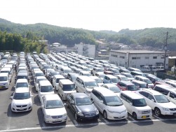 地元出品による多数の良質車出品で活発なセリ