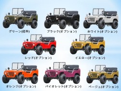 豊富なカラーバリュエーション