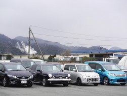 出品ヤードには良質小売りダマが多数集まった