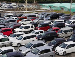 多数の出品車が集まり、活気あるセリを展開