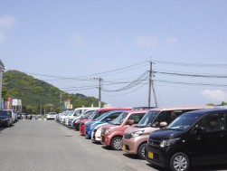 小売りに適した良質軽自動車出品も多い