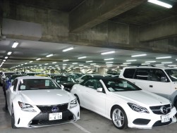 高年式・高額車も多数集まり、小売り向け良質車を供給