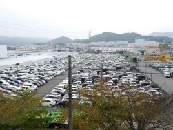 出品ヤードは多数の出品車で埋まった