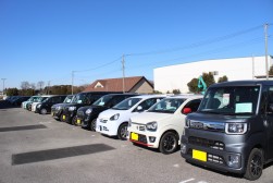 会場に並ぶ良質の軽自動車