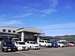 高額車を含め多数の小売り向け良質車が並んだ