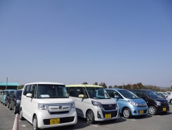 軽自動車の小売りダマも多い