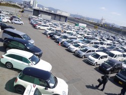 高成約率基調から小売り向け良質車出品も増加