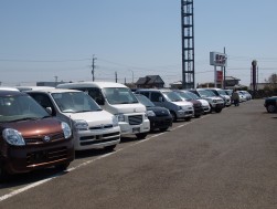 同会場で定評のある軽自動車