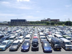 多数の出品車が集まり活気