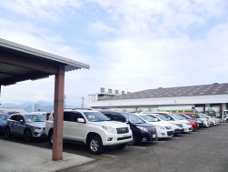 四国会場にも３００台を超える出品車