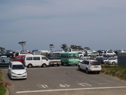 車両ヤード　この写真の向こうまで津波は来たが被害はほぼ皆無