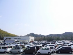 出品ヤードには多くの良質車