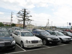 高レンジモデルまで充実した輸入車コーナー
