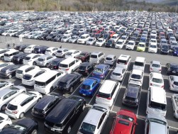新車販売が堅調なトヨタ系ディーラーからは多数の下取り・買取り車がＡＡ市場にもたらされた（写真はＴＡＡ広島会場の出品ヤード、周年記念では３０００台超えのＡＡに）