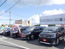 展示場にはピカピカの高年式車が並ぶ