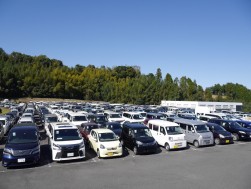 出品ヤードには出品車がぎっしりと並んだ