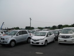 JU宮城の特徴のひとつ、良質車系コーナーも好評