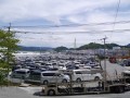 多くの出品車が集まり活気溢れるＡＡ会場