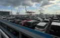 多数の出品車が並ぶ