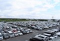 新鮮な車両が数多く集まった