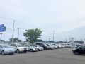 会場には小売りダマが多く並んだ