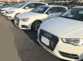 特設ＶＷ・ＡＵＤＩコーナー出品車