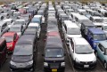 ヤードには出品車が所狭しと並んだ