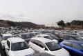 ２９０８台の出品車がヤードを埋めた