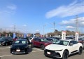 各社ごとにブース出展