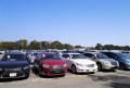 出品ヤードには多くの良質車が並んだ