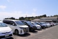 多くの良質小売りダマが集まり、活気あふれるセリ