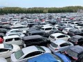 ヤードを埋め尽くした出品車
