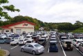多くの出品車が集まり活気