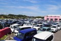３００台を超える出品車がヤードを埋めた