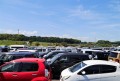 出品ヤードには良質車が多数集まった