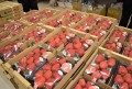 出品３台以上賞は「選べるいちご４パック」