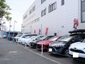 国産から輸入車まで幅広く取り扱う