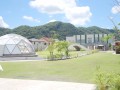 ひめじ店に隣接する「カロひめパーク」（写真右奥はひめじ店）
