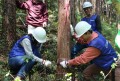 熱血指導する上野執行役員