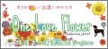 保護犬譲渡促進プロジェクト「Ｏｎｅ Ｌｏｖｅ Ｆｌｏｗｅｒ」