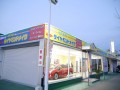 本社敷地内にあるダイヤモンドメイク桜