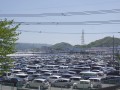 出品ヤードには多数の良質車が並んだ