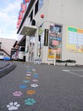 展示場には「動物の足跡」など、子どもたちが喜ぶ遊び心が満載